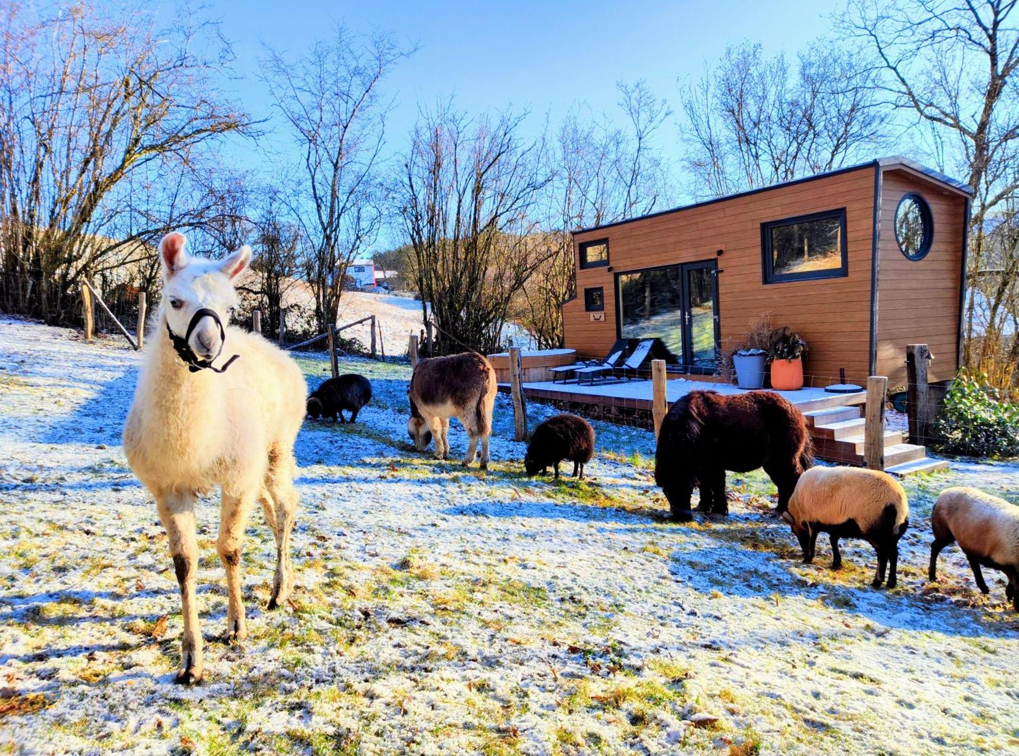 La Mini Maison Du Lama Libin Eksteriør billede